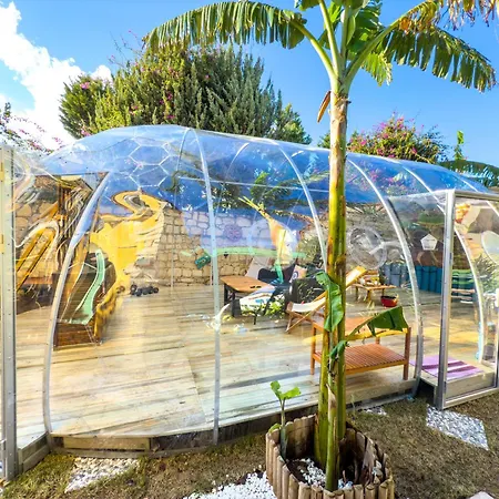 Hotel Banana Food & - Adults Only