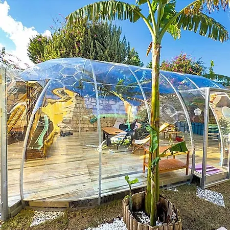 Banana Food & - Adults Only 3*